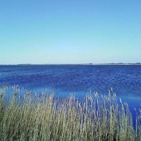 Reetdachhaus In Mit Blick Auf Den Breetzer Bodden Holiday home *